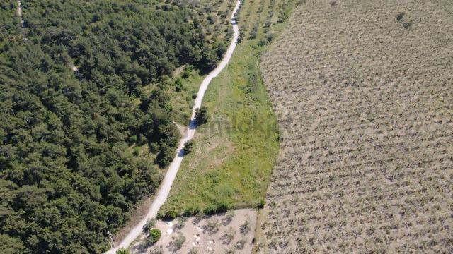 Yola Cephe 7000m2 Tek Tapu Arsa 4