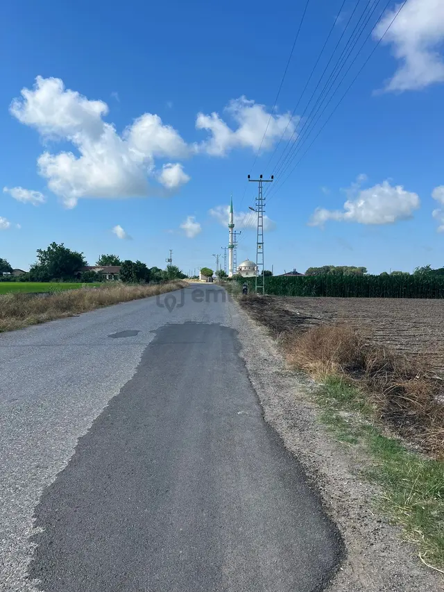 Bafra Vıp Gayrimenkulden Türbe Mah'de Fırsat 15.500m2 Tarla 3