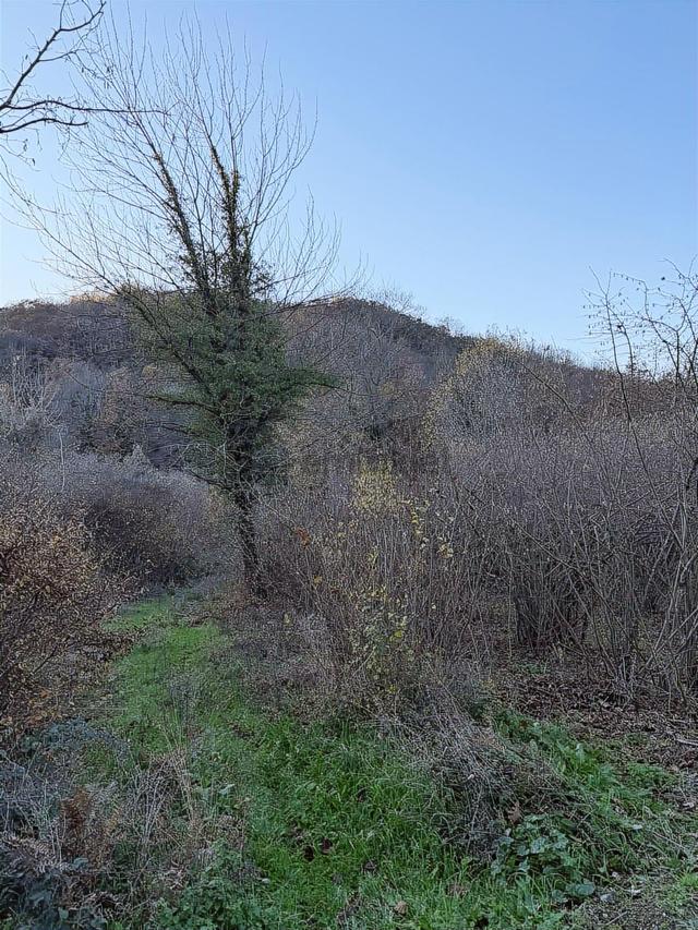 Akçakesede 380 M2 Dereye Cephe Tt4 Turizm Arsası 3