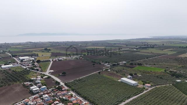 S&s Emlak'dan Dikili Kabakumda Satılık 2375 M2 Villa İmarlı Arsa 5