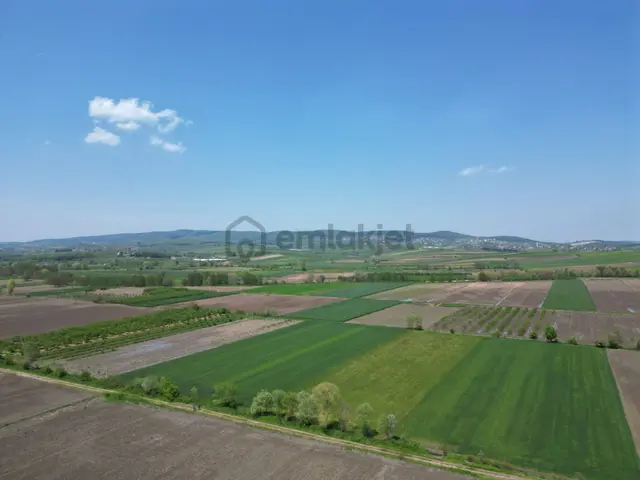 Söğütlü'de Verimli Tarım Arazisi | Ova İçinde | 115 M Yol Cepheli 5