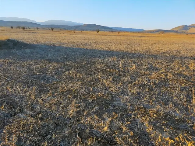 Antalya Korkuteli Büyükköyde Satılık Tarla 7700 M2 5