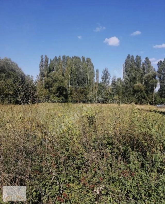 Sarıköy'de Yatırımlık Tarla : Beyşehir Yolu'na 300metre Mesafede 5