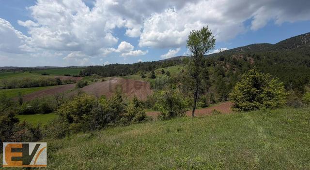 Bilecik Gölpazarında 5.200 M2 Satılık Parsel 3