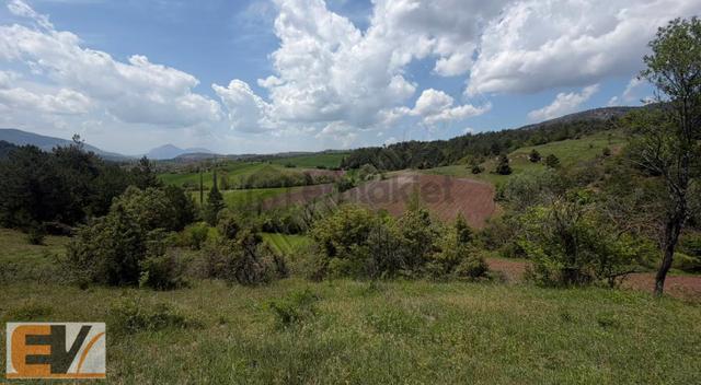 Bilecik Gölpazarında 5.200 M2 Satılık Parsel 5