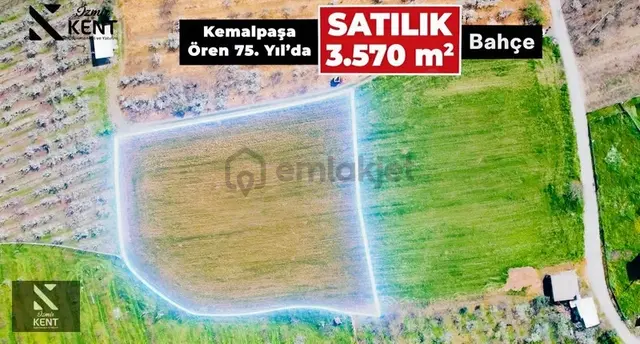Kemalpaşa Ören 75. Yıl Satılık 8770 M2 Tek Tapu Tarla 3