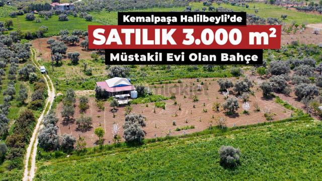 Kemalpaşa Halilbeylide Satılık 3000 M2 Bahçe 40 M2 Ev Kemalpaşa Halilbeylide Satılık 3000 M2 Bahçe 40 M2 Ev