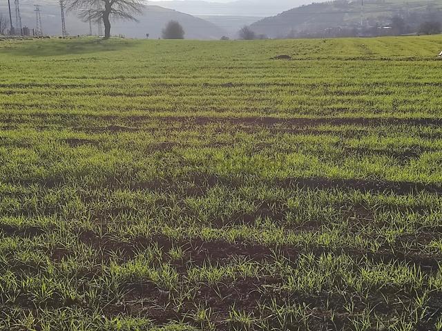 Truva//uğur Gök,alanlı Da Harika Konumda İmarlı Arsa 5