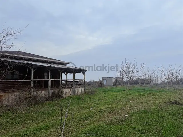 Remax Area Dan Satılık 22525 M2 Ceviz Bahçesi Ve Ev 1