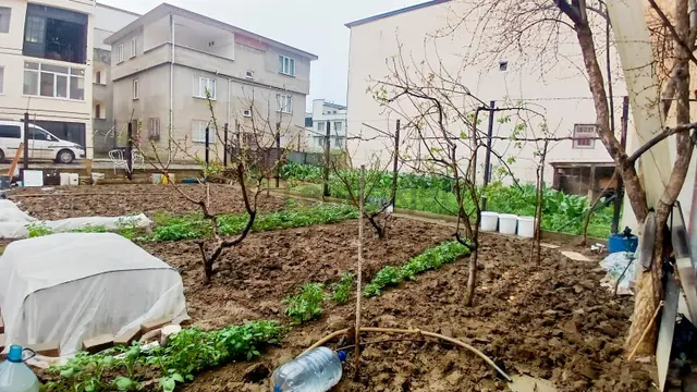 Remax Area Yıldırım Kazımkarabekir Mh Müstakil Tapulu Arsa 126m² 3