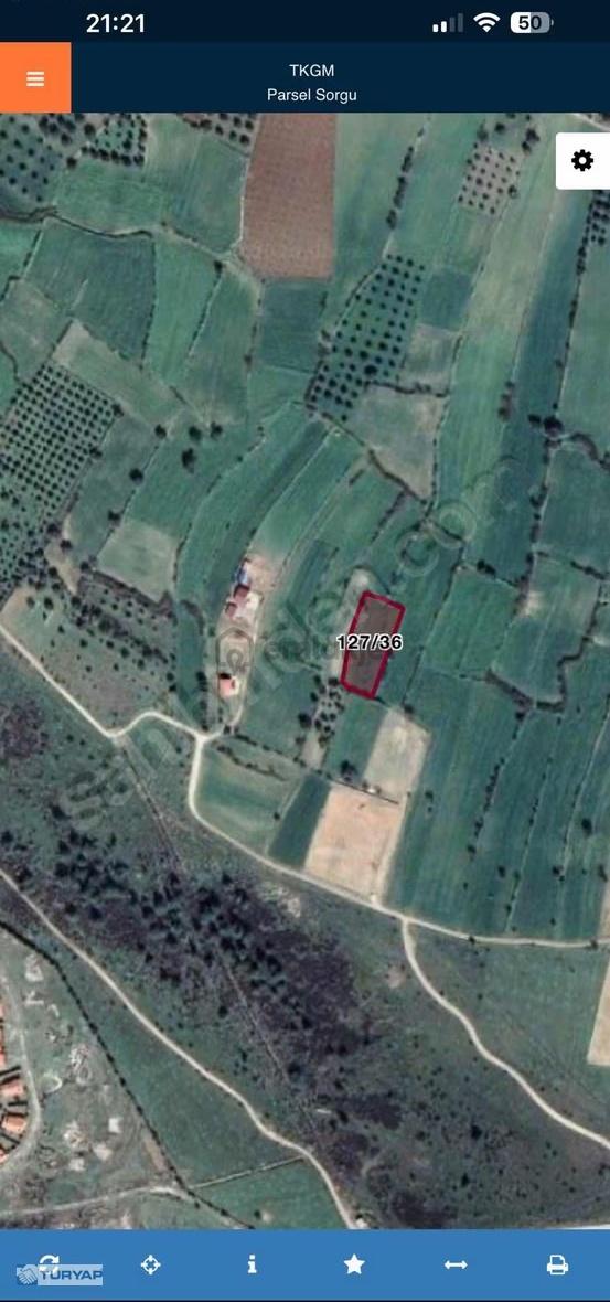 Muğla Milas Karapınar Muğla Milas Karapınar