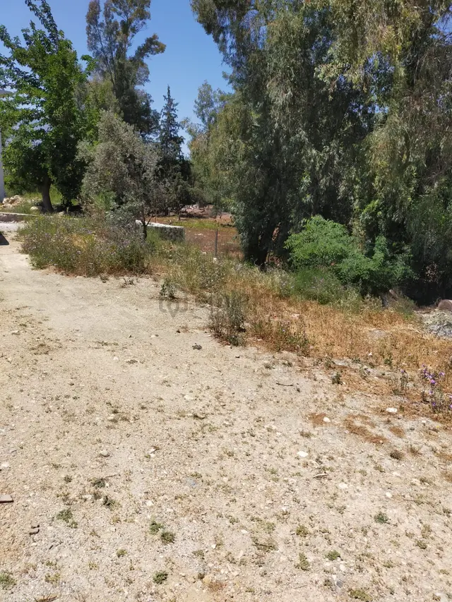 Stop’tan Girmeler Saklıkent Yolu Üzeri 500m² İmarlı Arsa Stop’tan Girmeler Saklıkent Yolu Üzeri 500m² İmarlı Arsa
