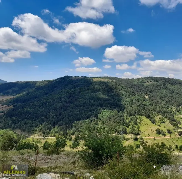 Salihli Şirinyer Yaylasında Satılık Arazi 1