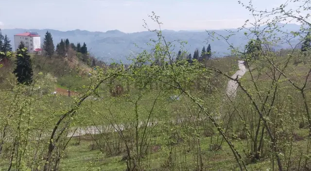 Kamışlı'da Önü Açık Doğa Manzaralı Arazi 1