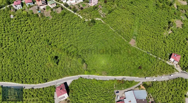 Vyg'den Ortahisar Kutlugün Mahallesinde 2456 M2 Arsa 4
