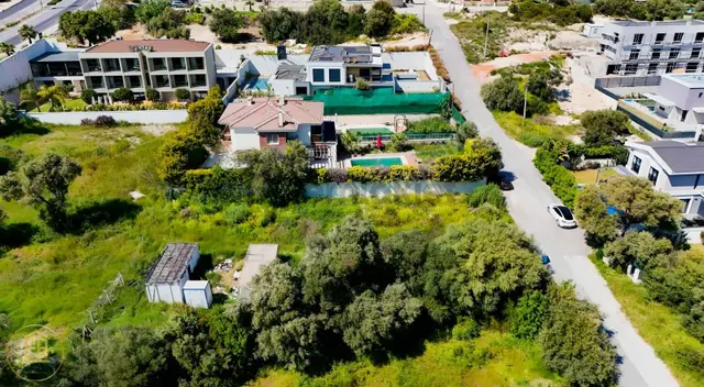 Çeşme Sakarya Mahallesinde Denize 350 M | 980 M² Arsa 3