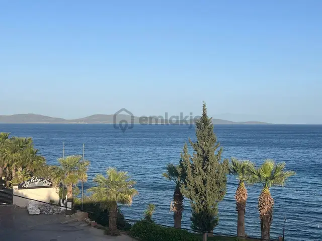 Asilden Ayıbalığında 2+1 Full Deniz Manzaralı Sezonluk Kiralık Asilden Ayıbalığında 2+1 Full Deniz Manzaralı Sezonluk Kiralık