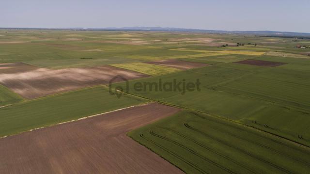 Saray Beyazköy Mahalesinde 2860 M2 Tek Tapu Tarla 5