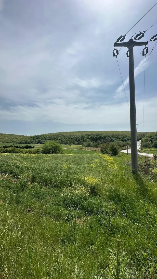 Silivri Dana Mandıra Kırklareli Ana Yola Cepheli Satılık Tarla 5