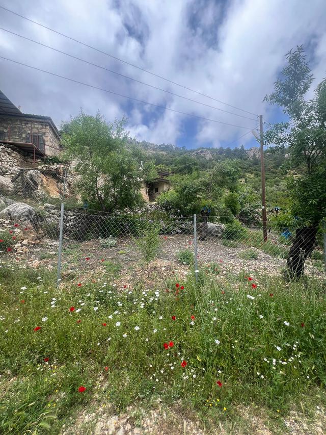 Mersin Silifke Karakaya'da Doğayla İç İçe Yaylalık Müstakil Ev Ve Arsa 4