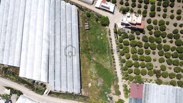 Kökce'den Satılık 2100 M2 Yol Kenarı Tarla 4