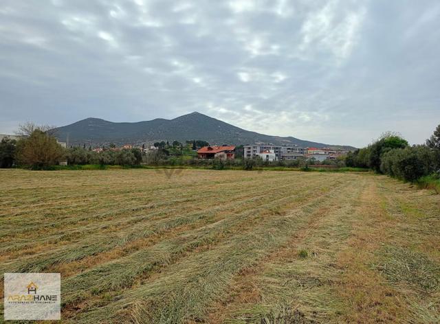 Hacıabdi Kültür Merkezi Arkası Satılık Tarla 5