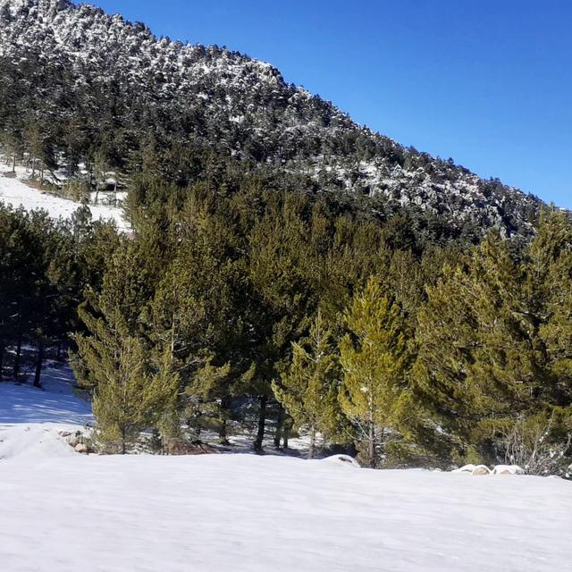 Kar Emlaktan Yenikonacık Körmenlik Mevkiinde 570 M2 Satılık Arsa 4