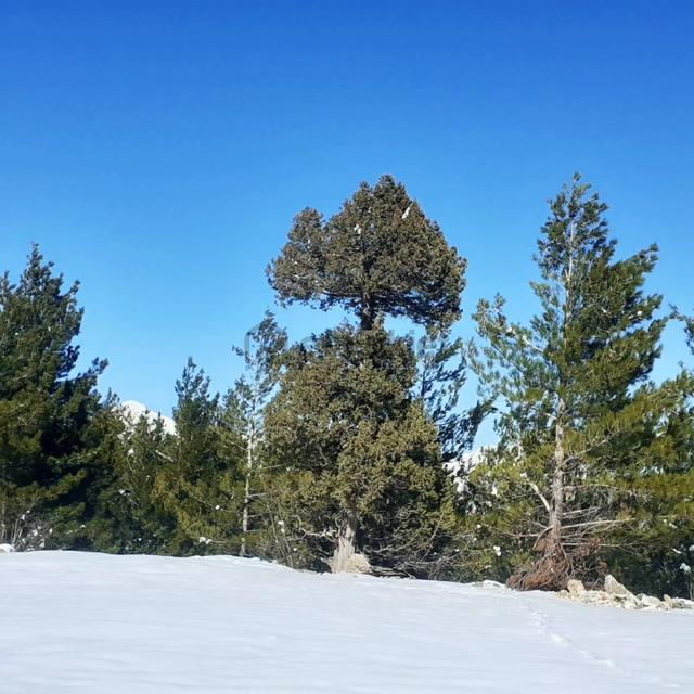 Kar Emlaktan Yenikonacık Körmenlik Mevkinde 570m2 Satılık Arsa 5