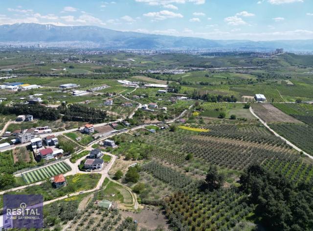 Rs Mutlu'dan Ahmetbey Köy'de Tek Tapu Satılık Zeytinlik 1