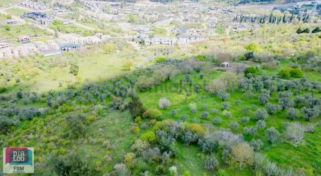 Karacabey Hürriyet Köy Dağ Korusu Mevkii Satılık Arazi 3
