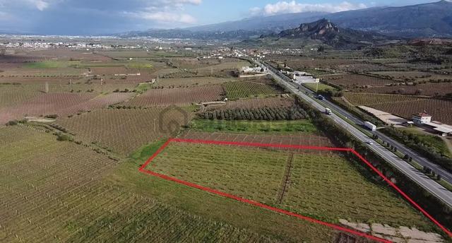 Ankara Asfaltına Cepheli 11180 M2 Zeytinlik 5