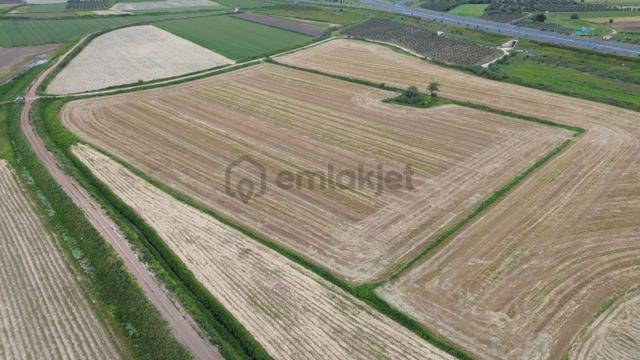 Zeytindağda Yatırımlık Satılık Verimli Tarla 15.400m2 5