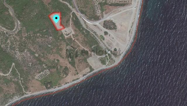 Delux'den Uçmakdere'de Yatırım Fırsatı Satılık Bağ 2