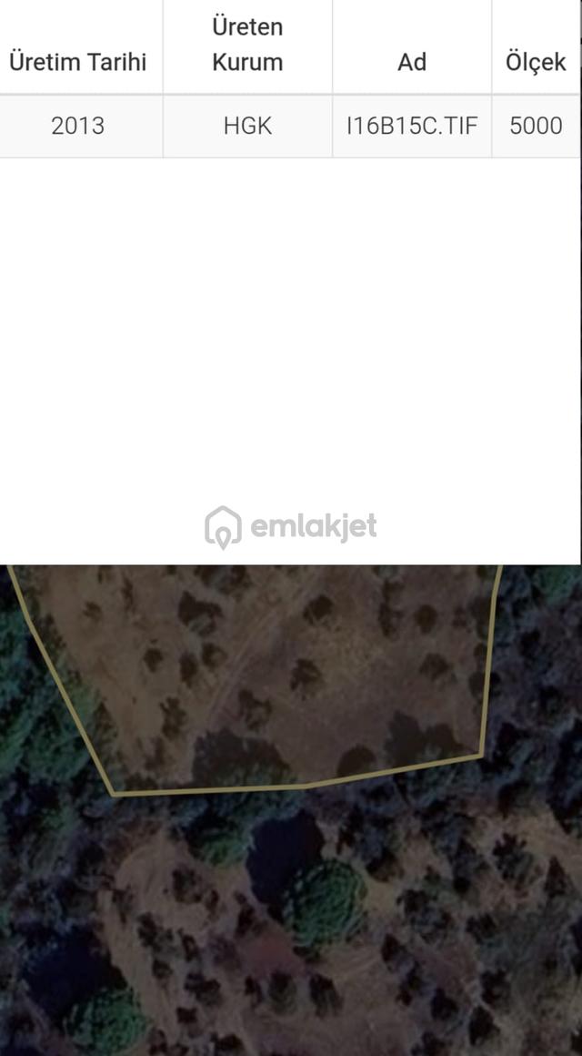 & Kerim'den Satılık Bayramiç'de Yatırımlık Zeytinlik 4