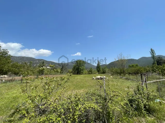 Falcon Dan Nif De Mükemmel 1525m² İmarlı Arsa 5