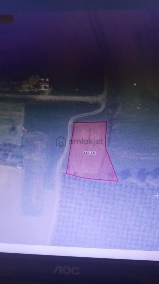 Acil Sahibinden Denize Yakın 1600m2 Tarla Yatırımlık 2
