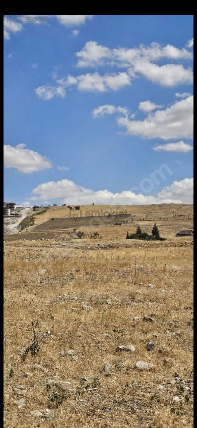 Tokinin Kalbinde 3