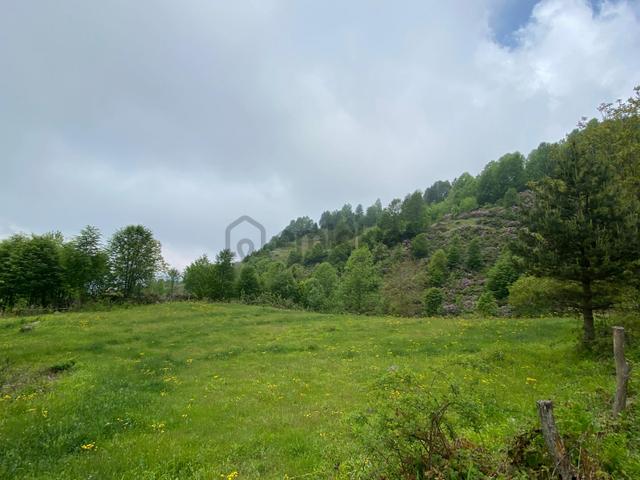 Fırsat ! Satılık 3.500 M2 Tarla Sakarya / Hendek 4