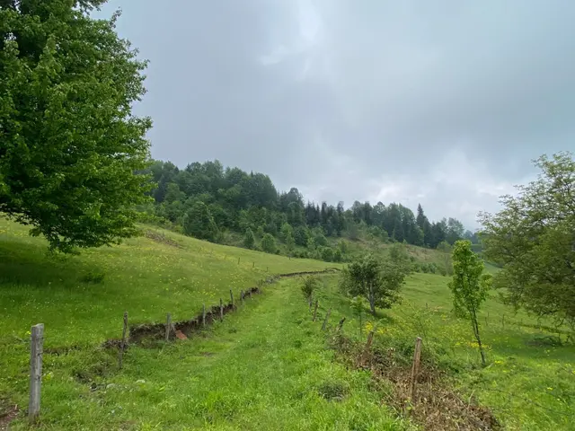 Fırsat ! Satılık 3.500 M2 Tarla Sakarya / Hendek 3
