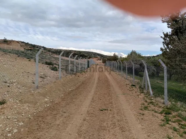 Ayaş Ortaberekette 1.800 M2 Hobi Bahçelerinin Olduğu Yerde Tapulu 1.800.000 Tl. Satılık Bahçe Yeri 3