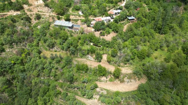 Antika'dan Dokuzlar Köyünde İçinde Evi-damı Olan Satılık Bahçe 3