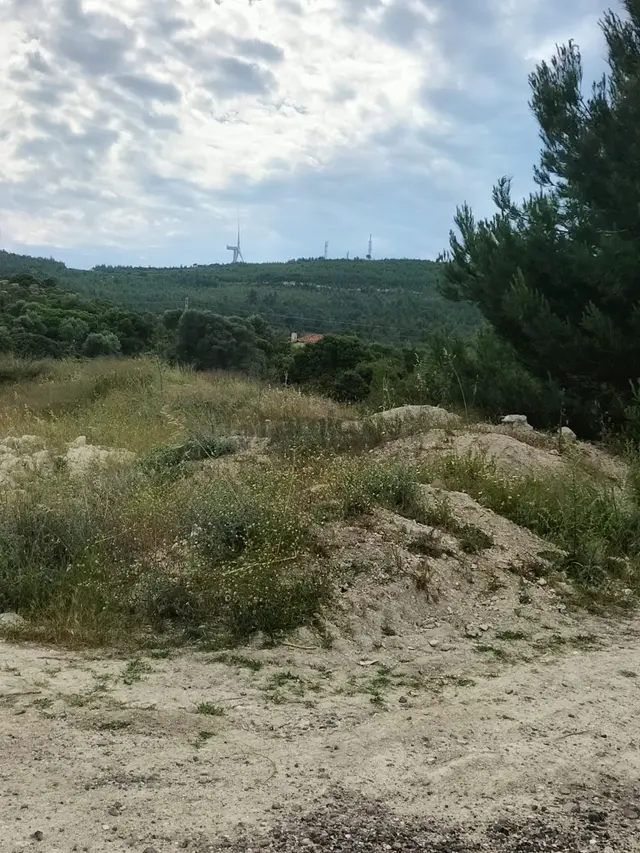 Çeşme Mamurbaba 'da Satılık Fırsat Arazi 3