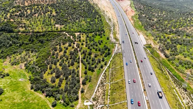 Kuzey Ege Otoyoluna 200m Cepheli Opetin Yanında Denize 1.6km 5