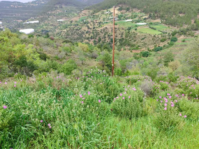 Mersin Anamur Melleç Satılık Tarla 2