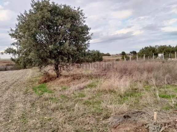 Maddı Sıkısıklıktan Dolayı Acıl Satılık Bolge Emsallerının Cok Altında 2
