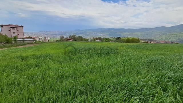 Akgün Kurumsaldan Kat Karşılığı Arsa Samsun İlkadım Kavacık 3