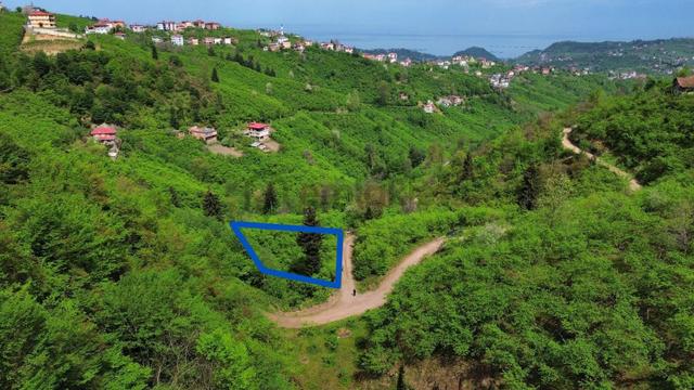 Trabzon Arsin'de Satılık Arazi 5