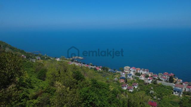 Trabzon Akçaabat'ta Satılık Deniz Manzaralı Arazi 5