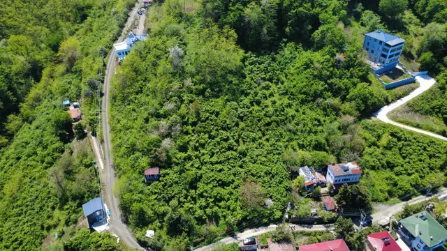 Trabzon Akçaabat'ta Satılık Deniz Manzaralı Arazi 2