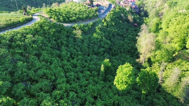 Trabzon'da Satılık Arsa 5